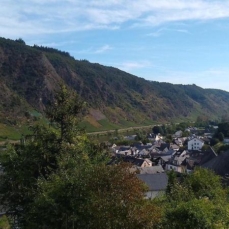 Ferienwohnung Lavendel Commune fusionnée de Cochem-Land Extérieur photo